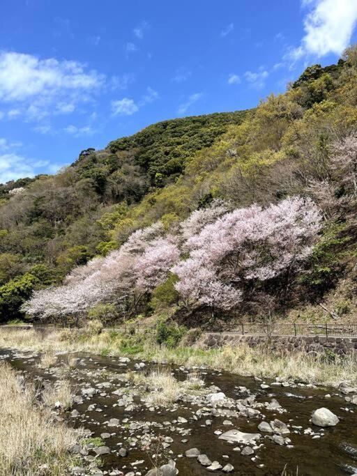 沼津戸田湾の古民家一軒貸切宿 釣り ハイキング 海水浴 ツーリングにおすすめ Exterior foto